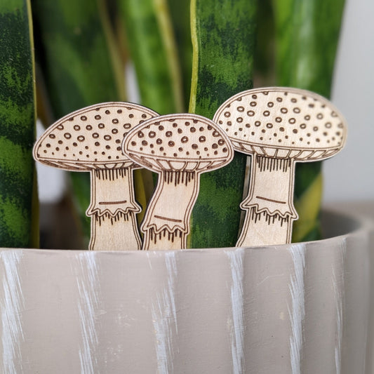 Mushroom Plant Pal Accessories