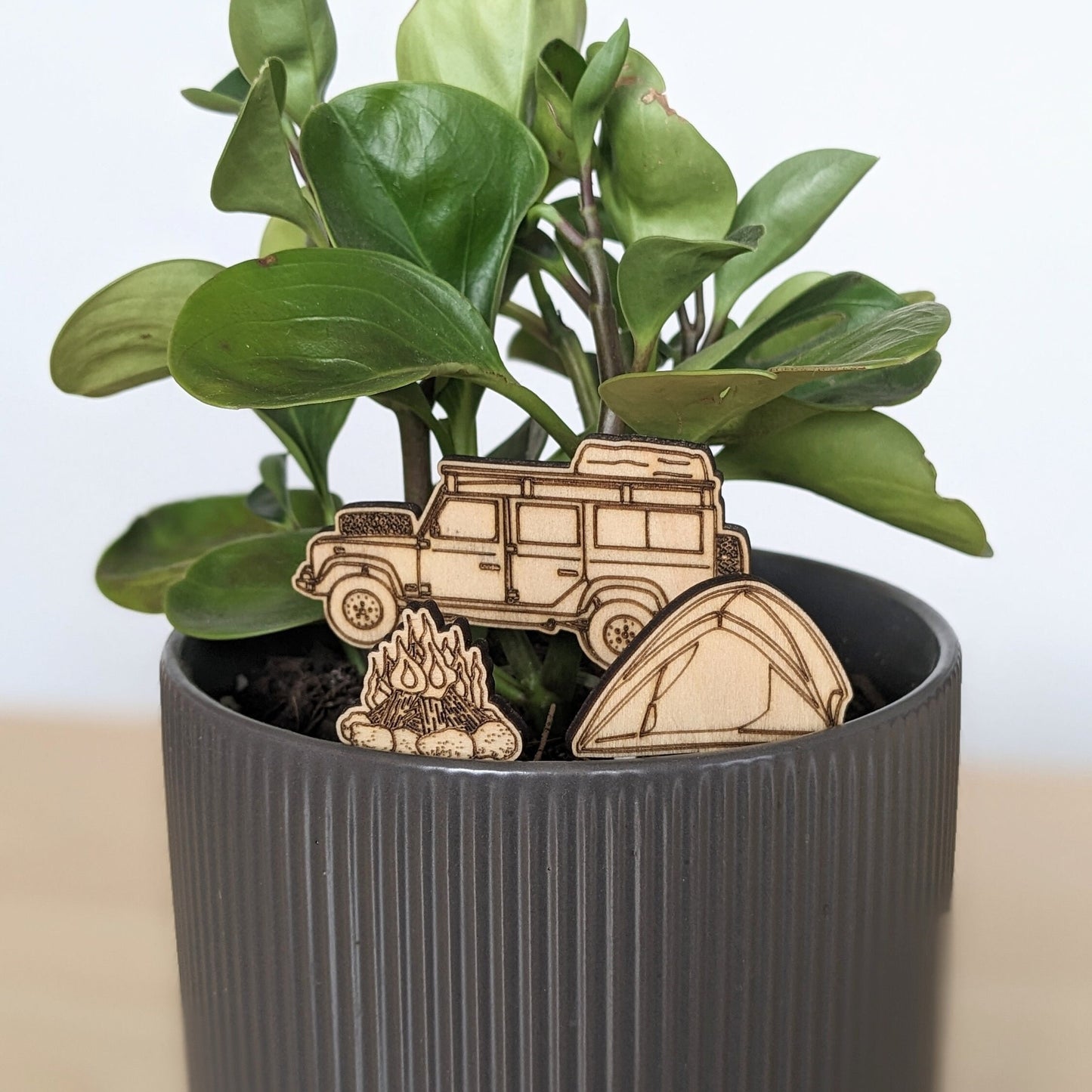 Camping Themed Plant Pal Accessories