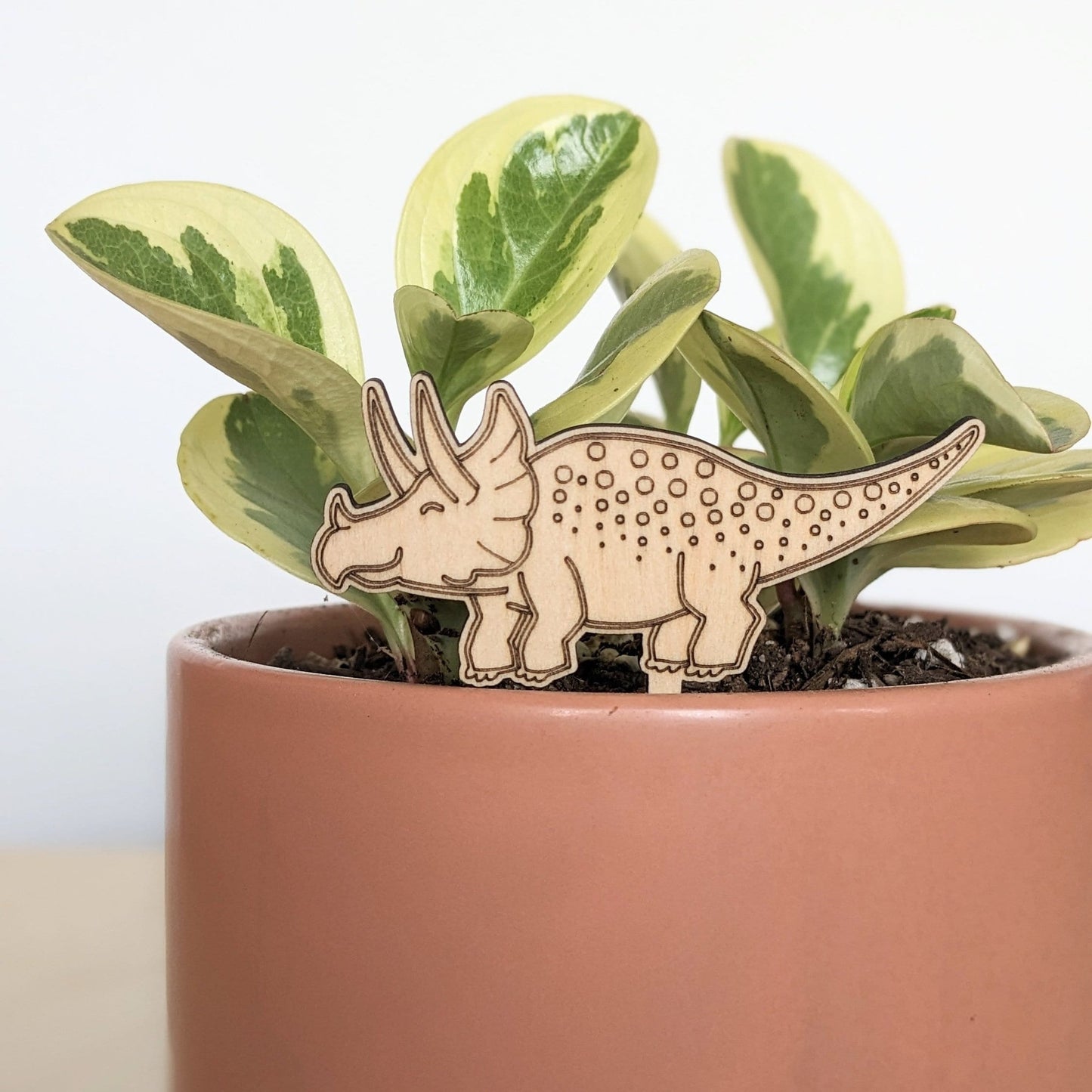 Dinosaur Plant Pal Accessories